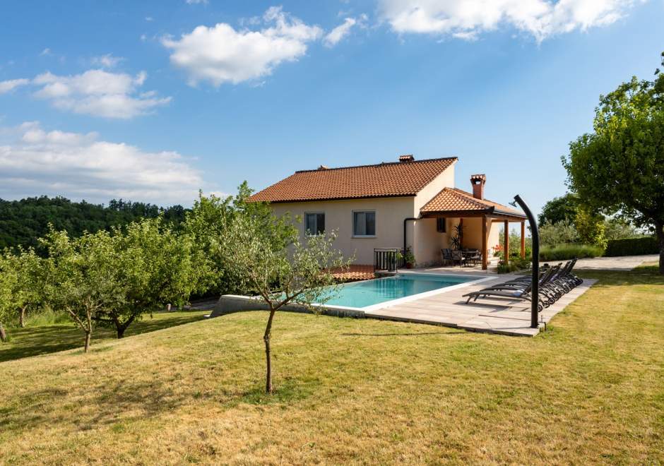 Holiday home with private pool and garden in central Istria / Tervis