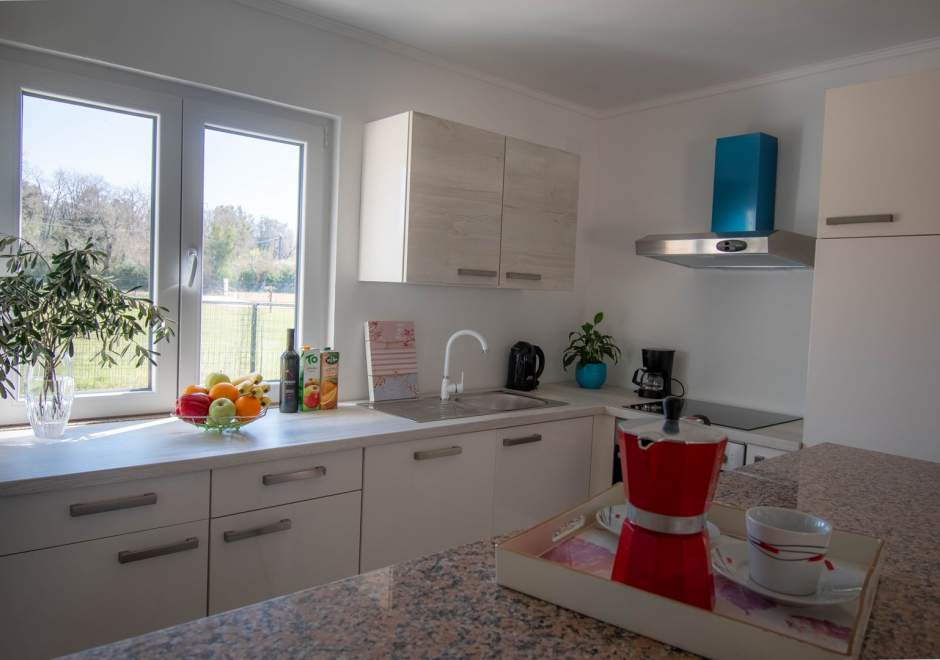 Villa Campagna with private pool, parking and garden in Rovinj
