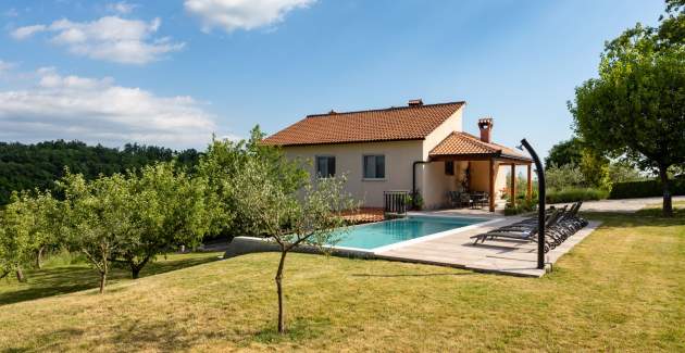 Holiday home with private pool and garden in central Istria / Tervis