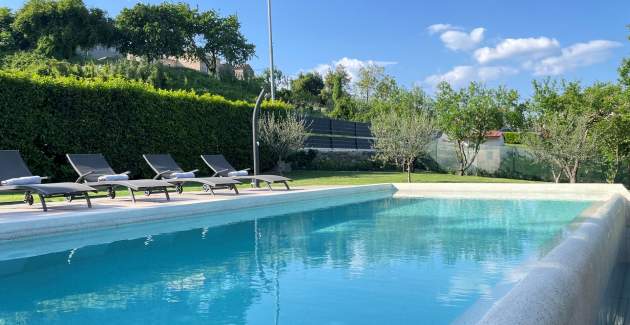 Holiday home with private pool and garden in central Istria / Tervis