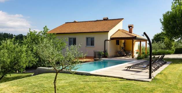 Holiday home with private pool and garden in central Istria / Tervis