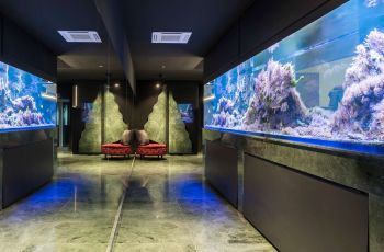 Wellness Villa Biocrystal