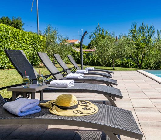Holiday Home with pool and garden - Tervis