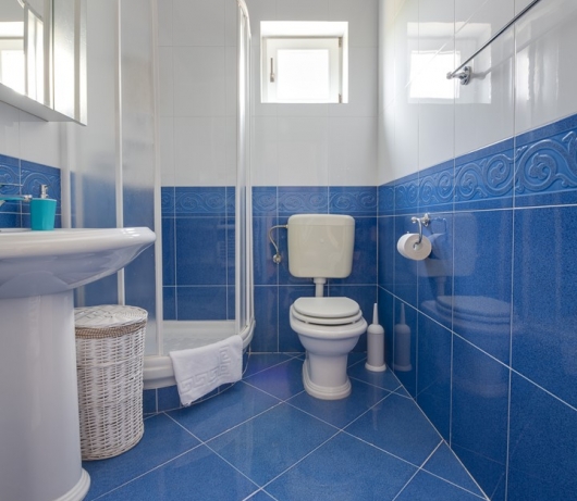 Villa Tanga near Rovinj with private pool and garden for 8 persons 
