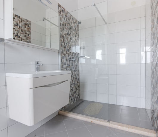 Villa Tanga near Rovinj with private pool and garden for 8 persons 
