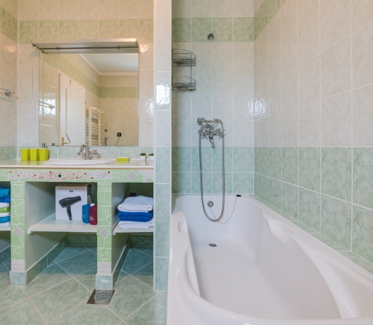 Villa Tanga near Rovinj with private pool and garden for 8 persons 
