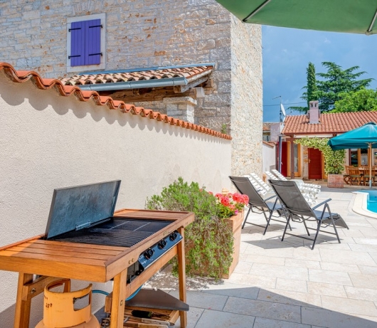 Rustic Villa Diana with pool near Rovinj