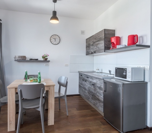 Rovinj Apartments / Deluxe studio with terrace