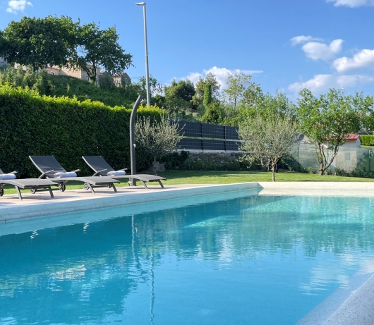 Holiday home with private pool and garden in central Istria / Tervis