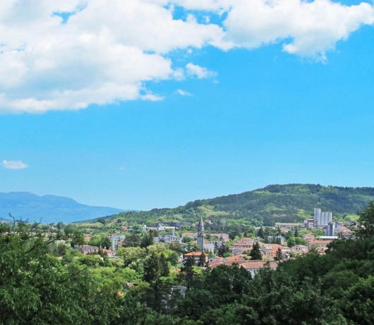 Holiday home with private pool and garden in central Istria / Tervis