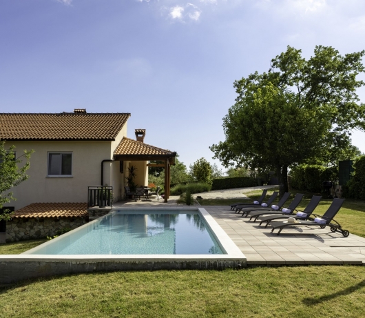 Holiday home with private pool and garden in central Istria / Tervis