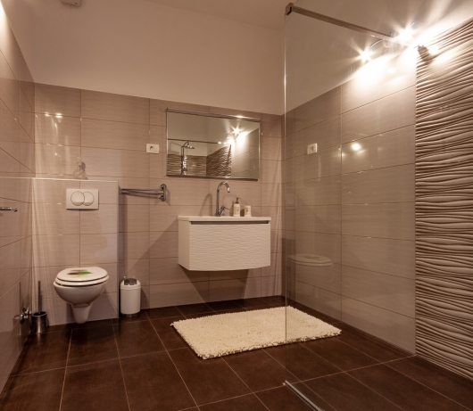 Five bedroom villa Emily with pool in Medulin