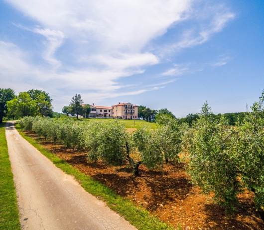 Lovely House LINDI in Poreč / One-bedroom apartment A2