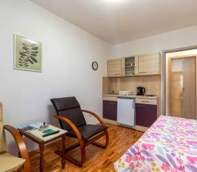 Rovinj City Studio/App with balcony, parking, kitchenette for couples A2