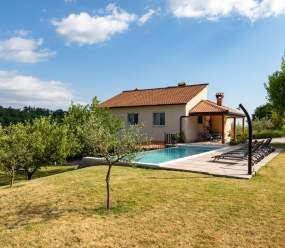 Holiday home with private pool and garden in central Istria / Tervis