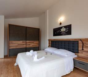 Five bedroom villa Emily with pool in Medulin