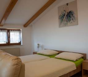 Apartments Kristina / Comfort Two-Bedroom apartment with terrace and parking
