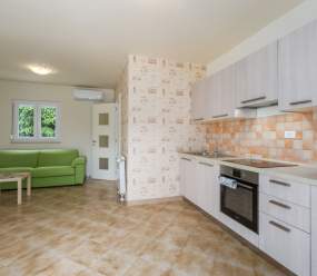 Exclusive 4 bedroom villa Alex in Porec with private pool, garden and parking