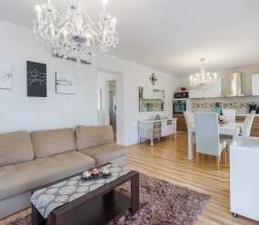 Exclusive 4 bedroom villa Alex in Porec with private pool, garden and parking