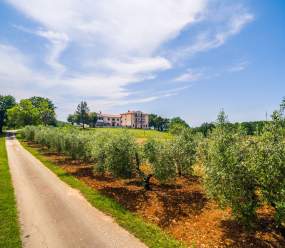 Lovely House LINDI in Poreč / One-bedroom apartment A2
