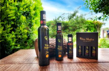 Olea Magica / 2B Apt Buza with garden