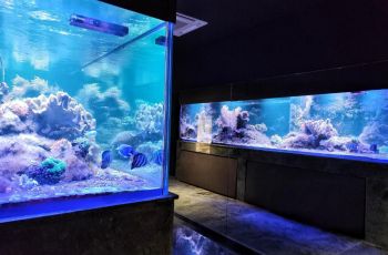 Wellness Villa Biocrystal 