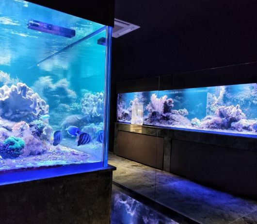 Wellness Villa Biocrystal